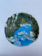 Woodland Forest Waterfall Scene