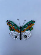 Green and Orange Butterfly