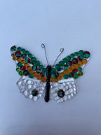 Green and Orange Butterfly