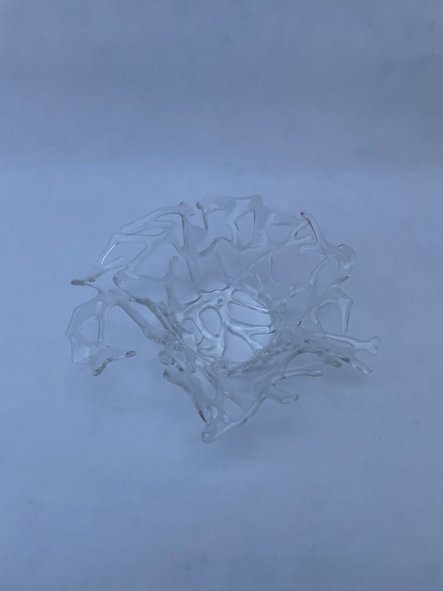 Crystal Coral Bowl