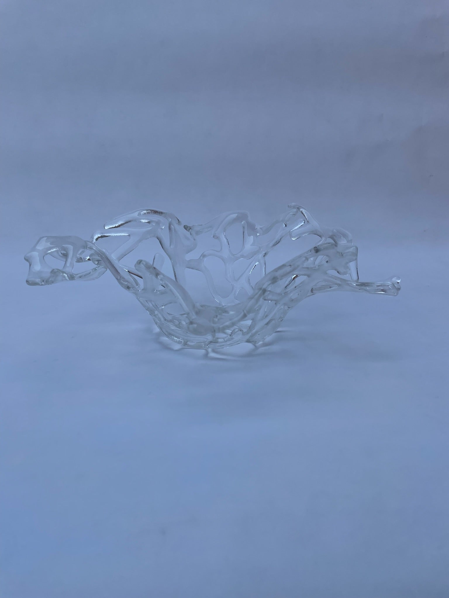 Crystal Coral Bowl