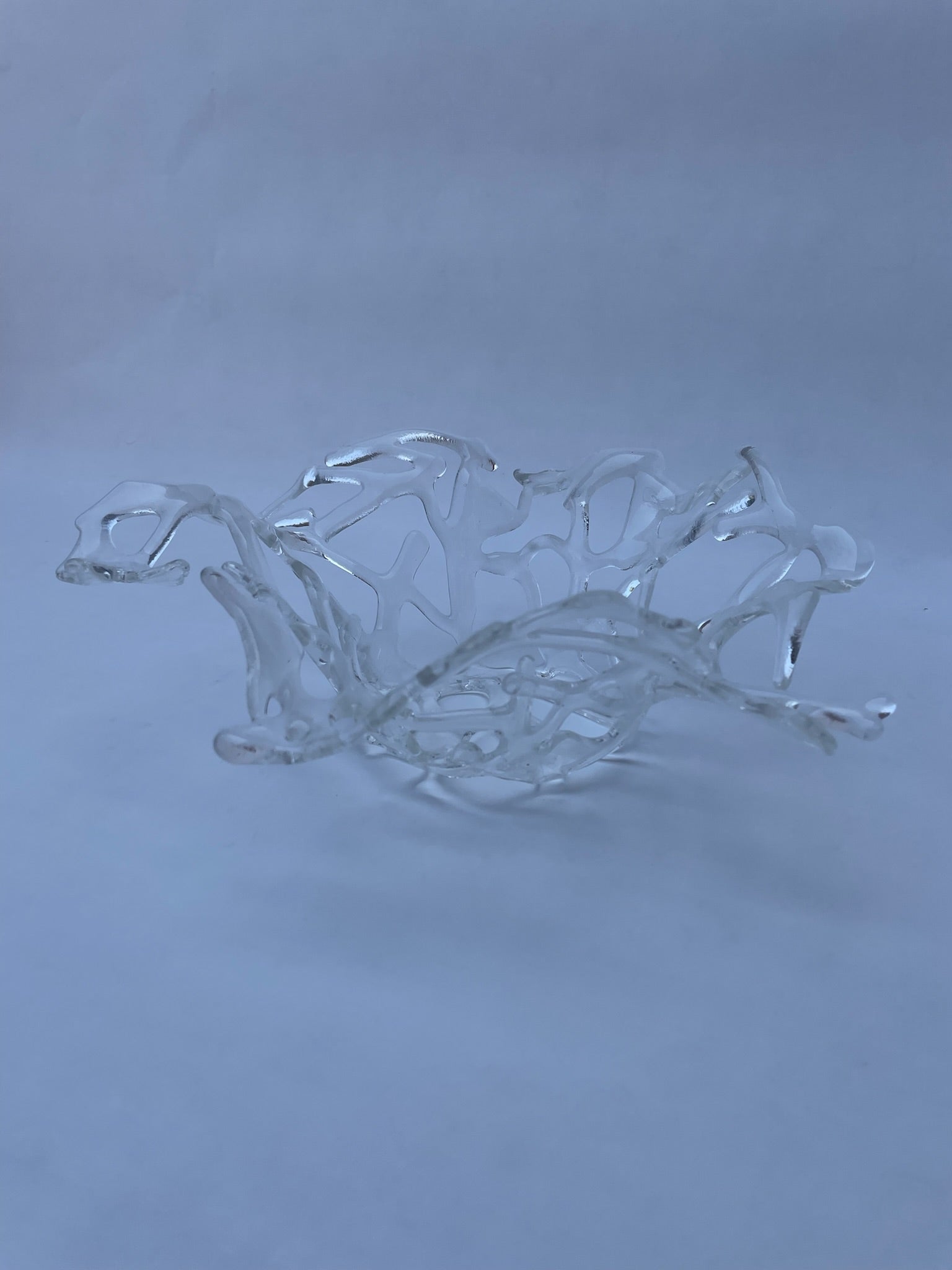 Crystal Coral Bowl