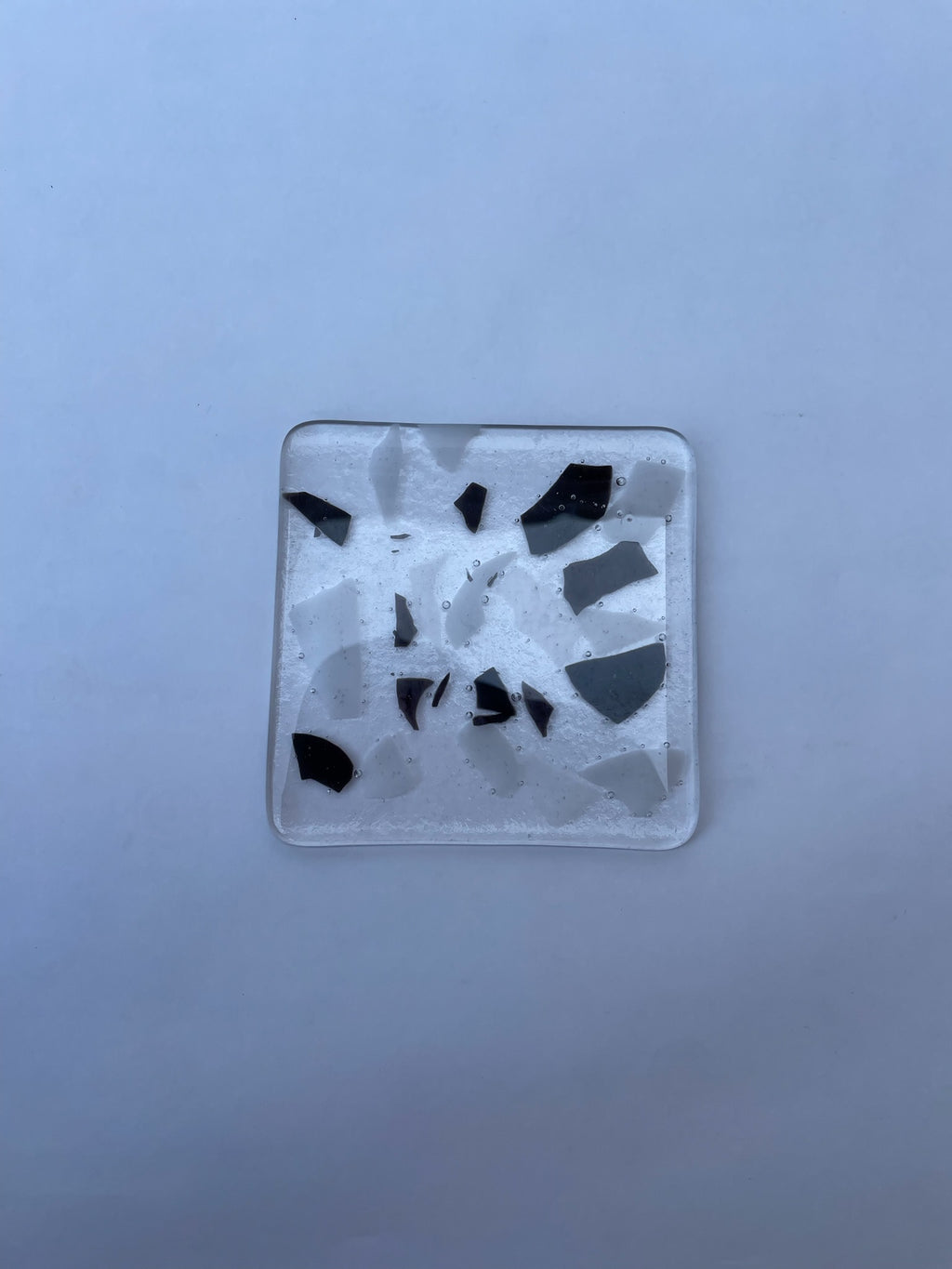 Dalmatian Coaster